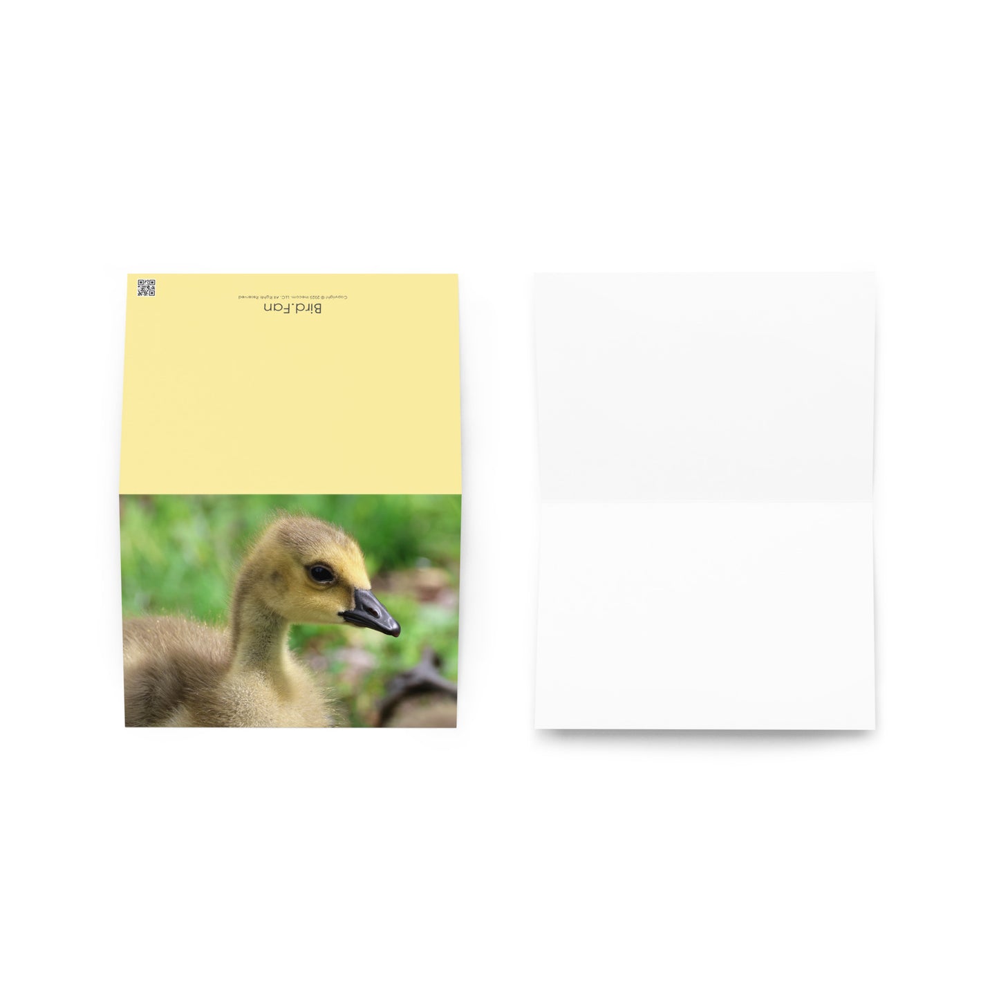 Baby Goose Greeting Card 5" x 7" | Original Bird Photography | Wildlife Gift w/ Envelope