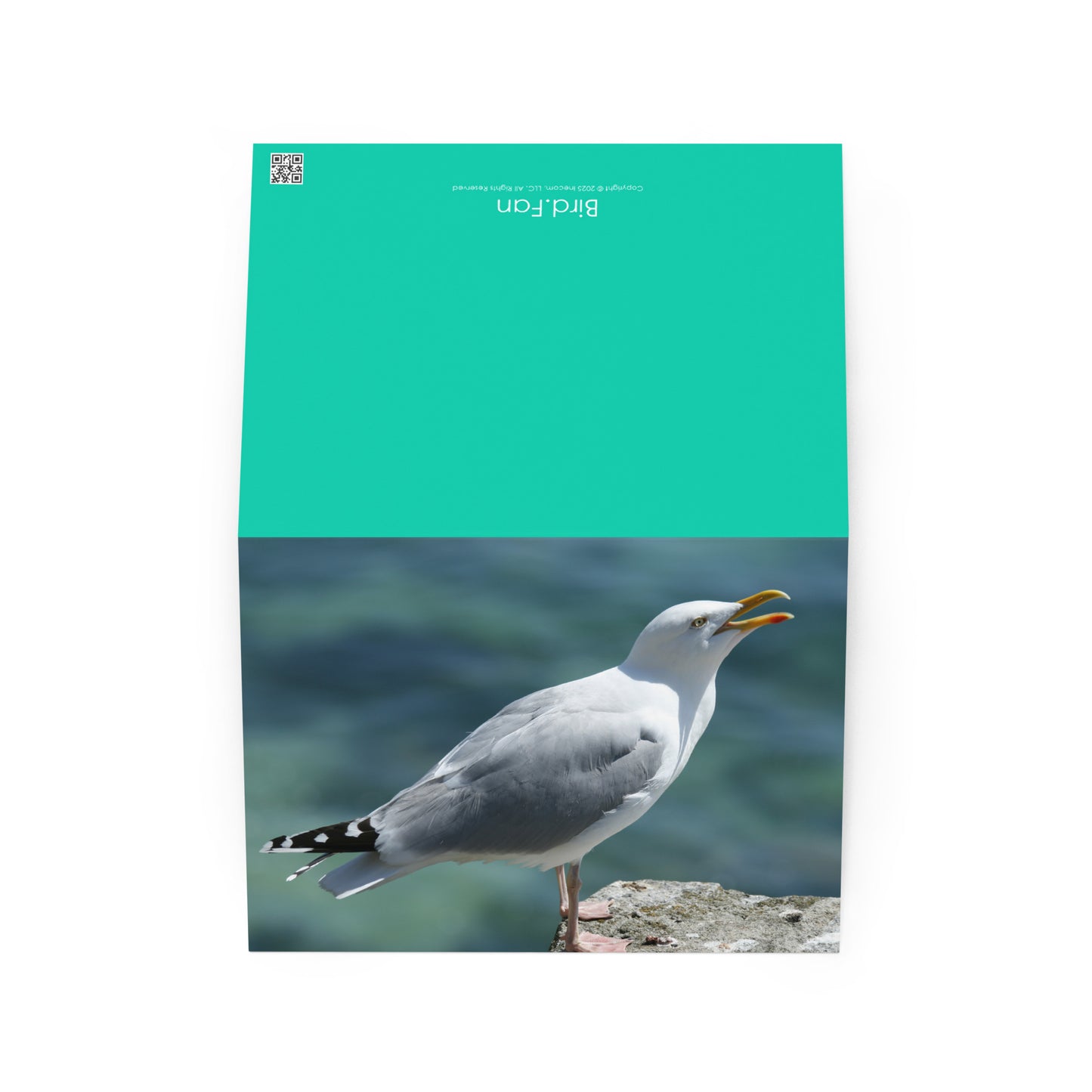 Bird Fan Greeting Card 5-Pack Set 1 | Five Cards 5" x 7" | Original Bird Photos | Wildlife Gift w/ Envelopes