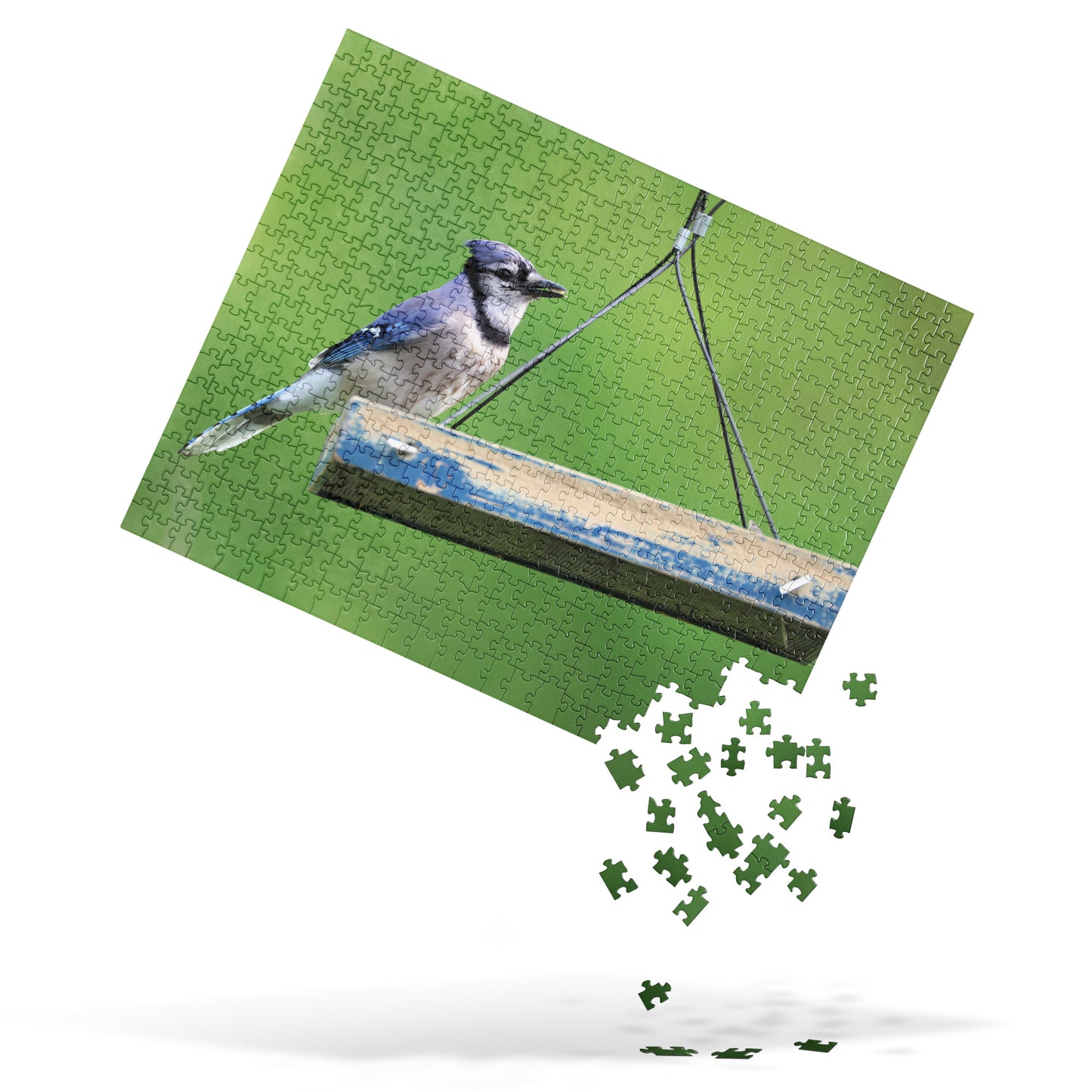 Blue Jay 520 Piece Jigsaw Puzzle | Original Bird Photography | by Bird.Fan