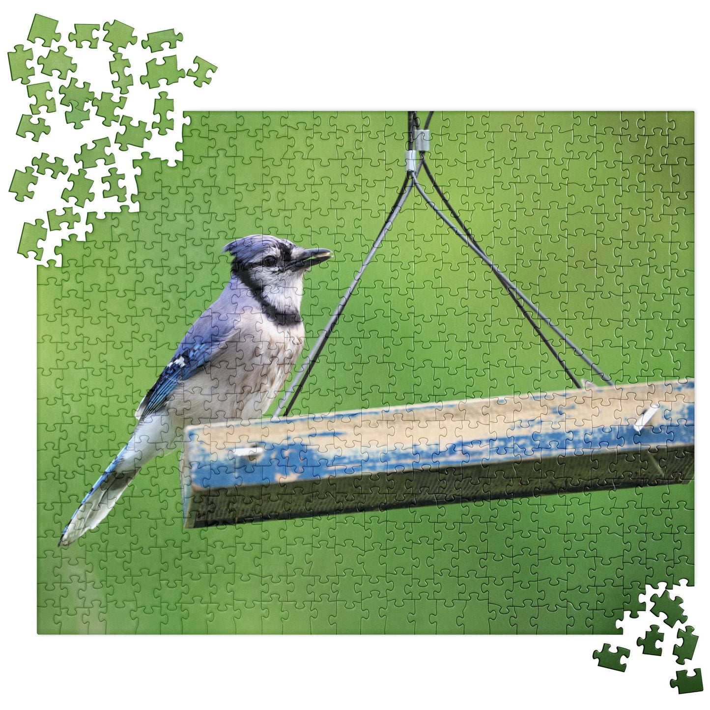 Blue Jay 520 Piece Jigsaw Puzzle | Original Bird Photography | by Bird.Fan